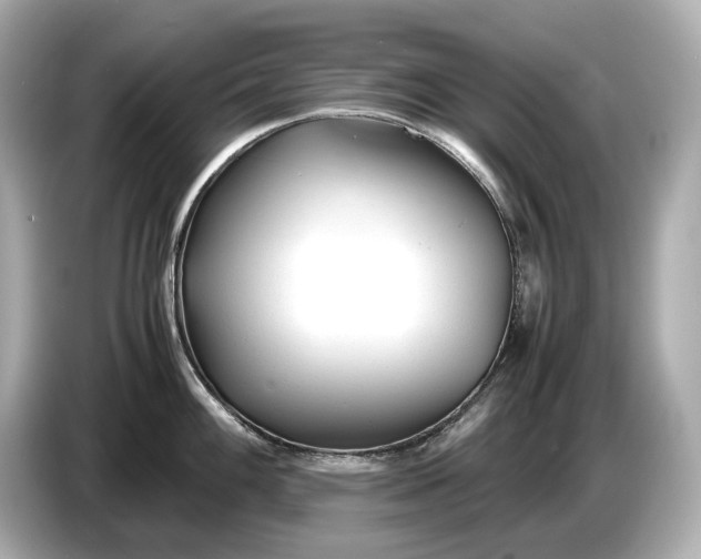 X0000086961100200704301232