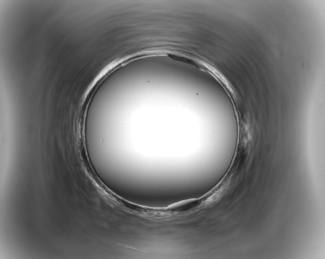 X0000086961101200704301232