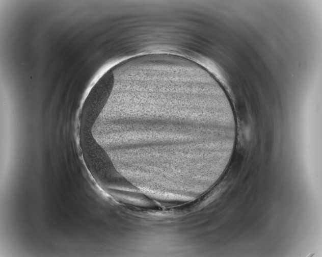 X0000086961102200704301232