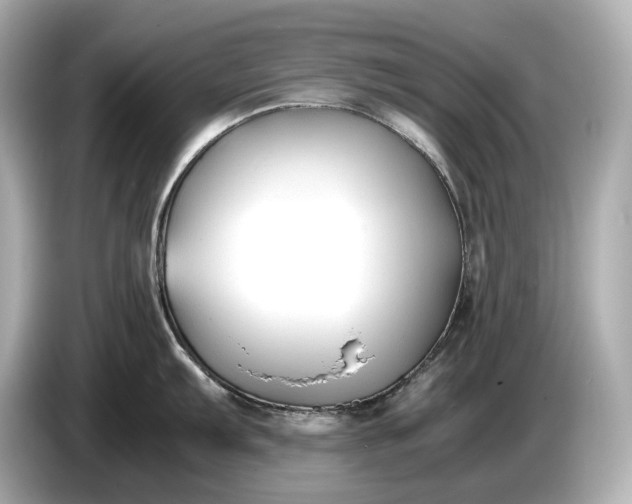 X0000086961103200704301232