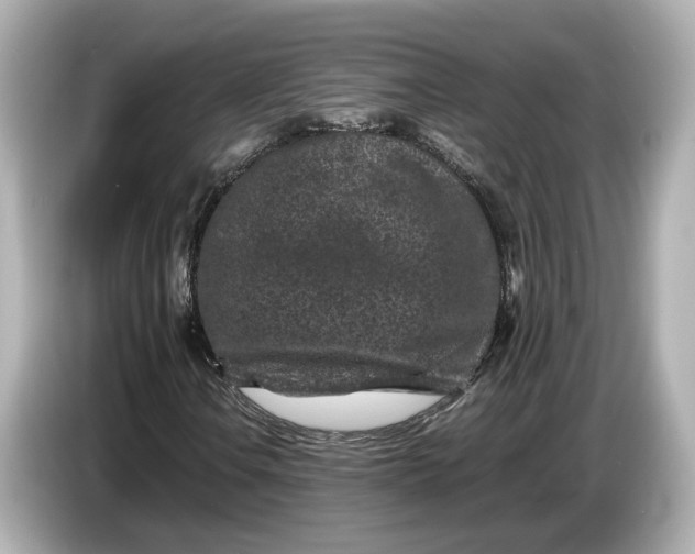 X0000086961106200704301232
