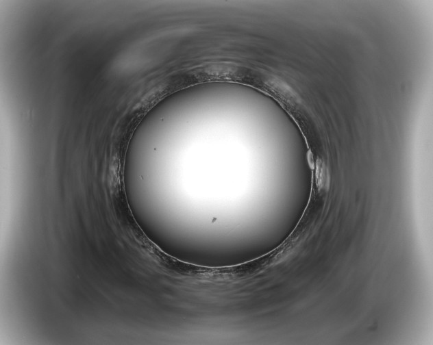 X0000086961107200704301232