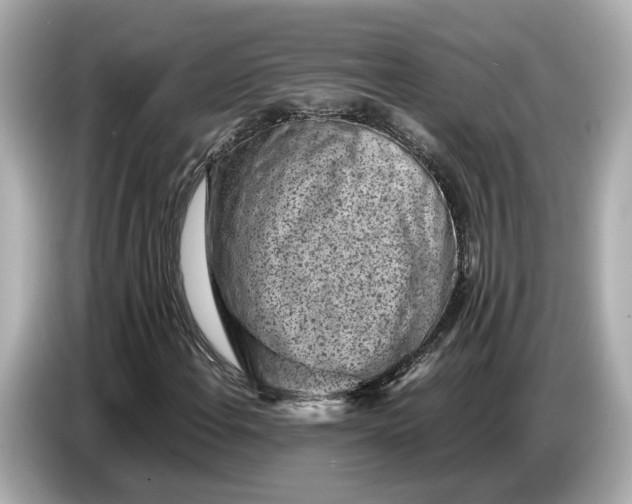 X0000086961108200704301232