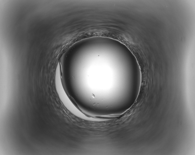X0000086961109200704301232