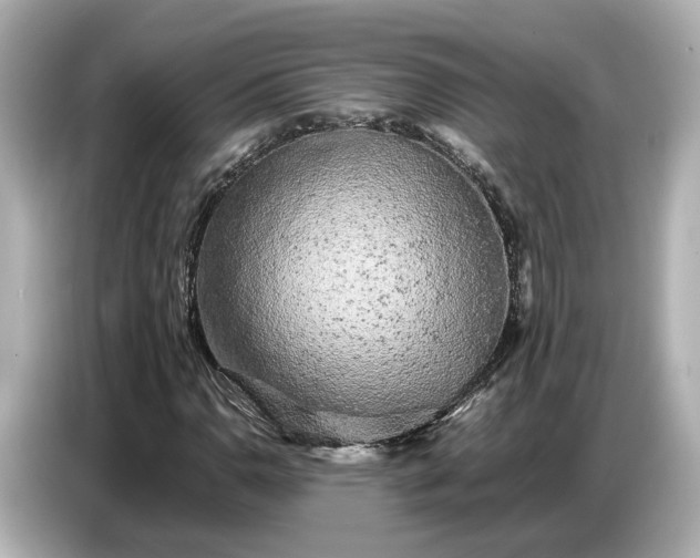 X0000086961110200704301232