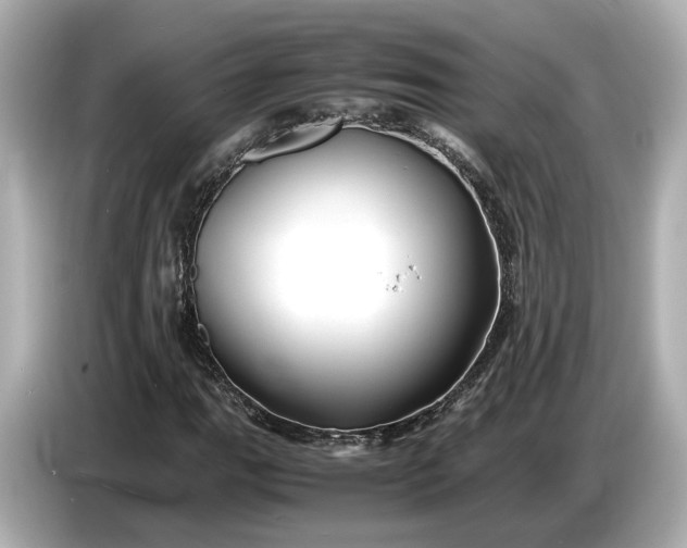 X0000086961111200704301232