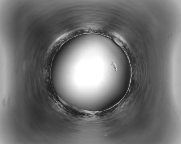 X0000086961112200704301232