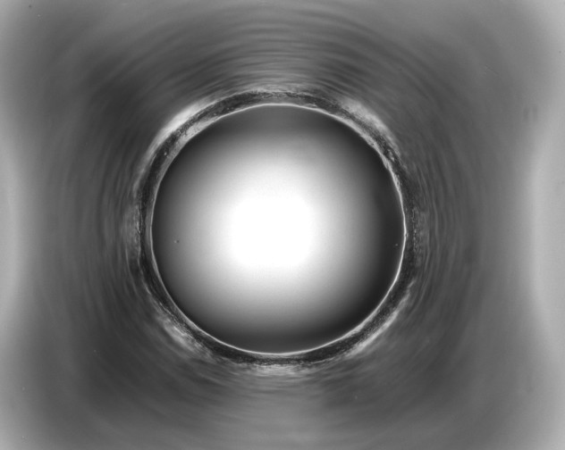 X0000086961114200704301232