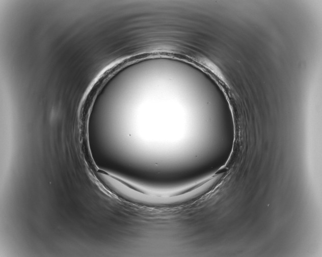 X0000086961116200704301232