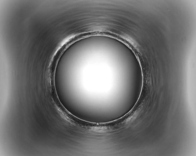 X0000086961118200704301232