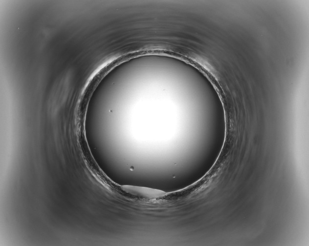 X0000086961119200704301232