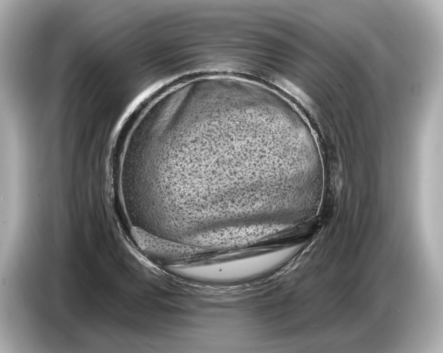 X0000086961120200704301232