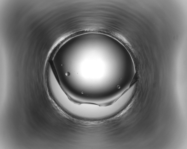 X0000086961122200704301232