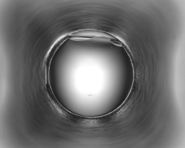 X0000086961123200704301232