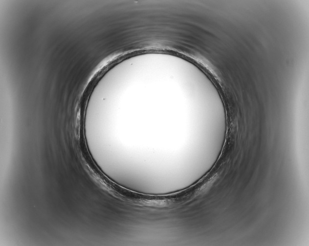 X0000086961126200704301232