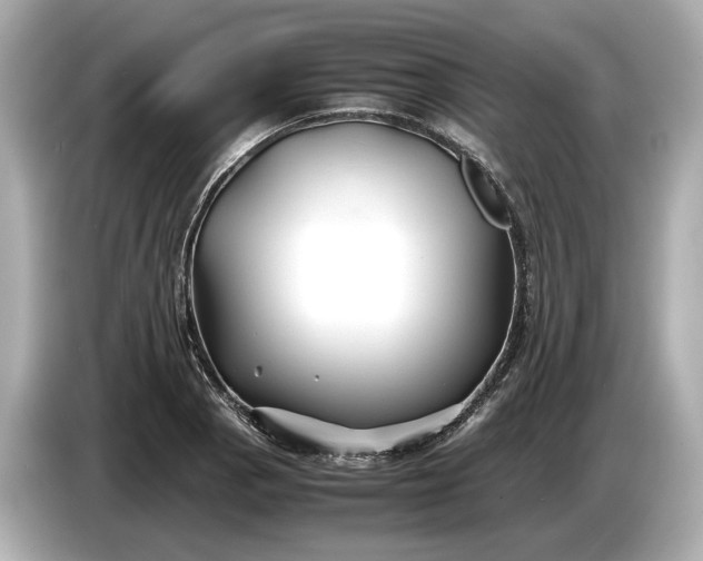 X0000086961129200704301232