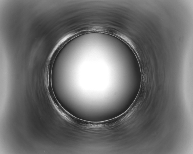 X0000086961131200704301232