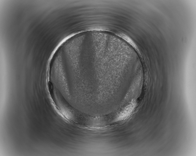 X0000086961132200704301232