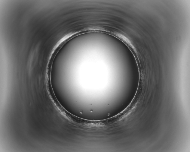 X0000086961133200704301232