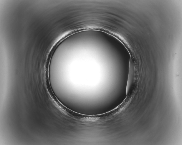 X0000086961134200704301232