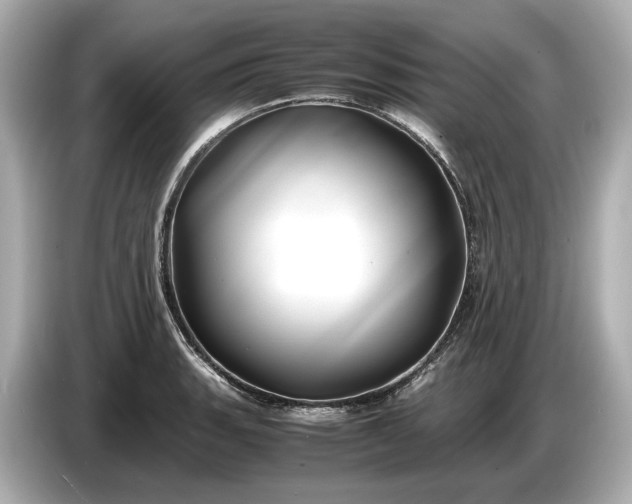 X0000086961135200704301232