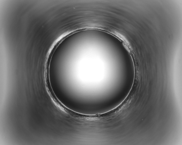 X0000086961136200704301232