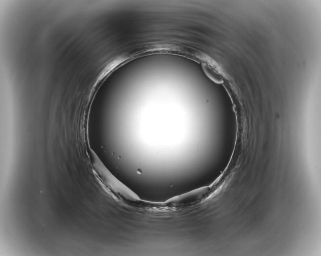 X0000086961137200704301232