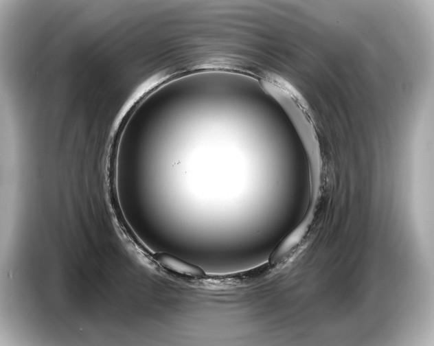 X0000086961138200704301232
