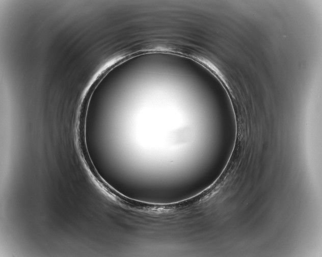 X0000086961139200704301232
