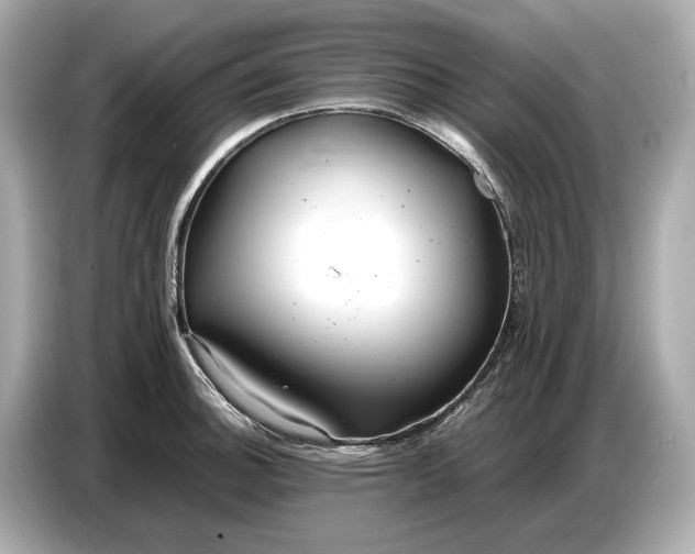 X0000086961140200704301232