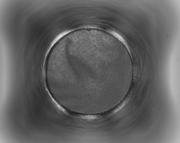 X0000086961141200704301232