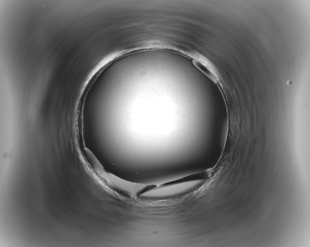 X0000086961142200704301232