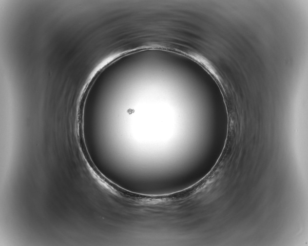 X0000086961143200704301232