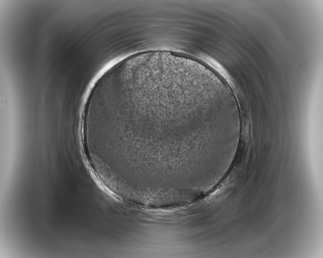 X0000086961144200704301232