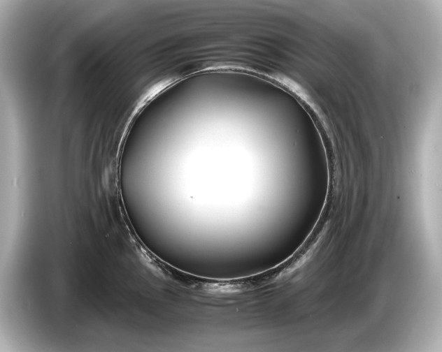 X0000086961145200704301232