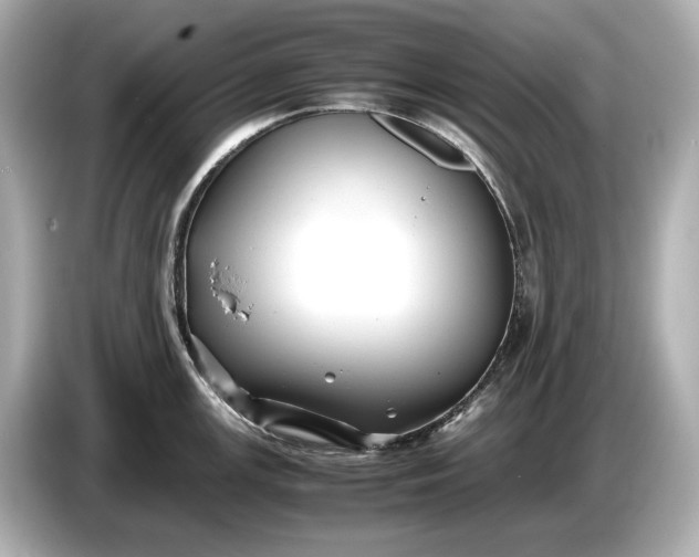 X0000086961147200704301232