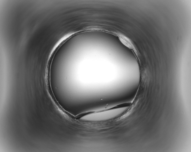 X0000086961149200704301232