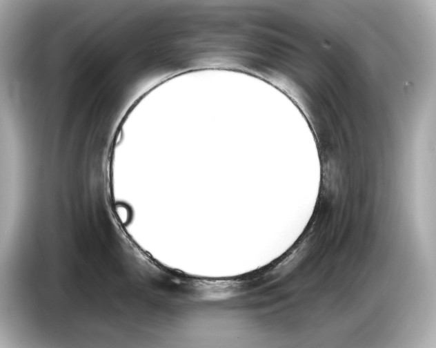 X0000086961150200704301232