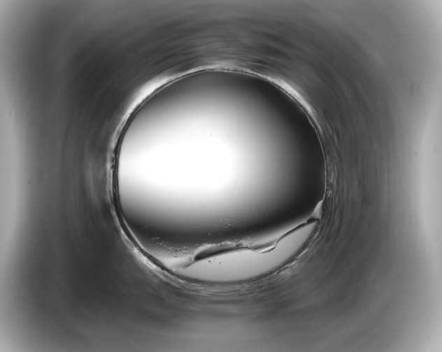 X0000086961151200704301232