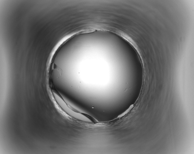 X0000086961152200704301232