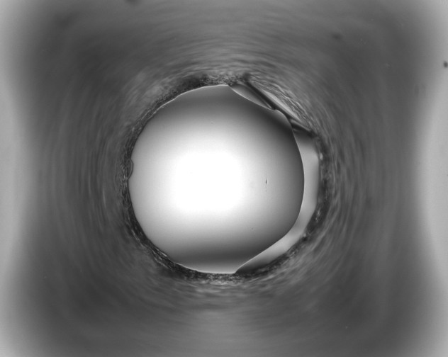 X0000086961153200704301232