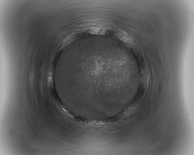 X0000086961154200704301232