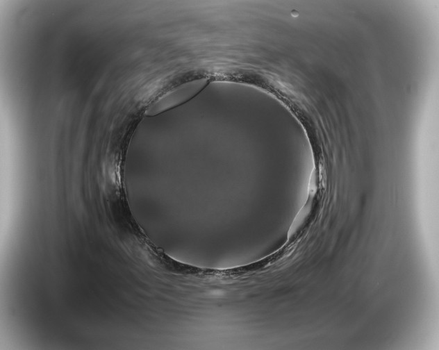 X0000086961155200704301232