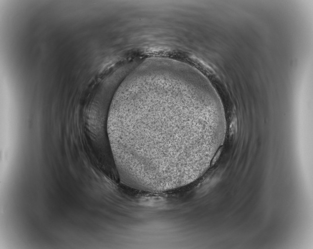 X0000086961156200704301232