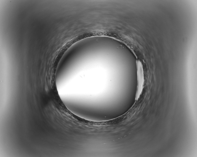 X0000086961157200704301232