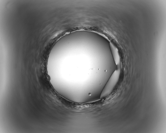 X0000086961159200704301232