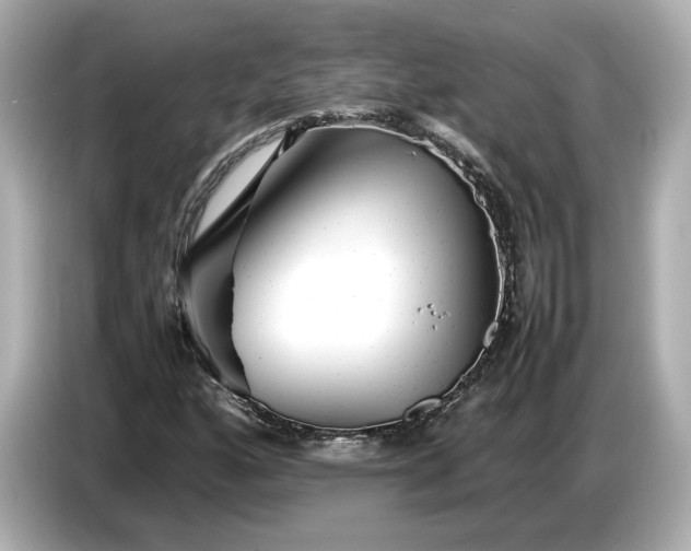 X0000086961160200704301232