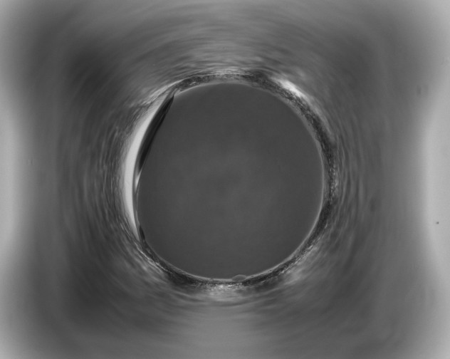 X0000086961161200704301232