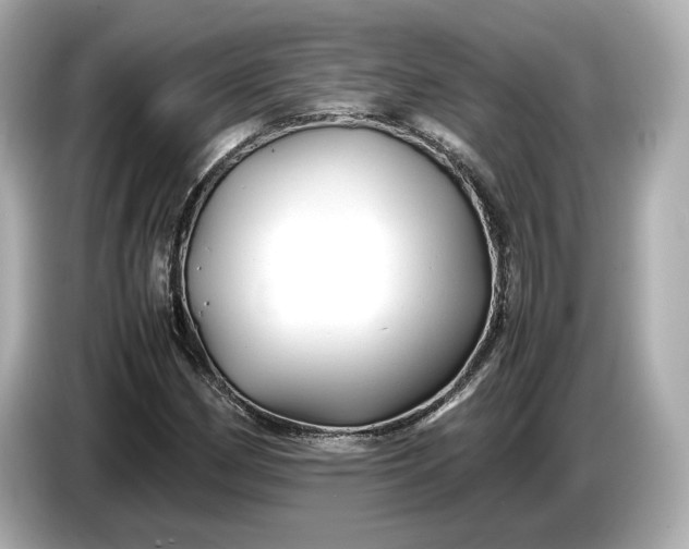 X0000086961162200704301232