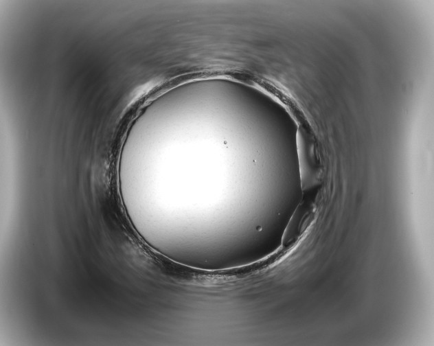 X0000086961163200704301232
